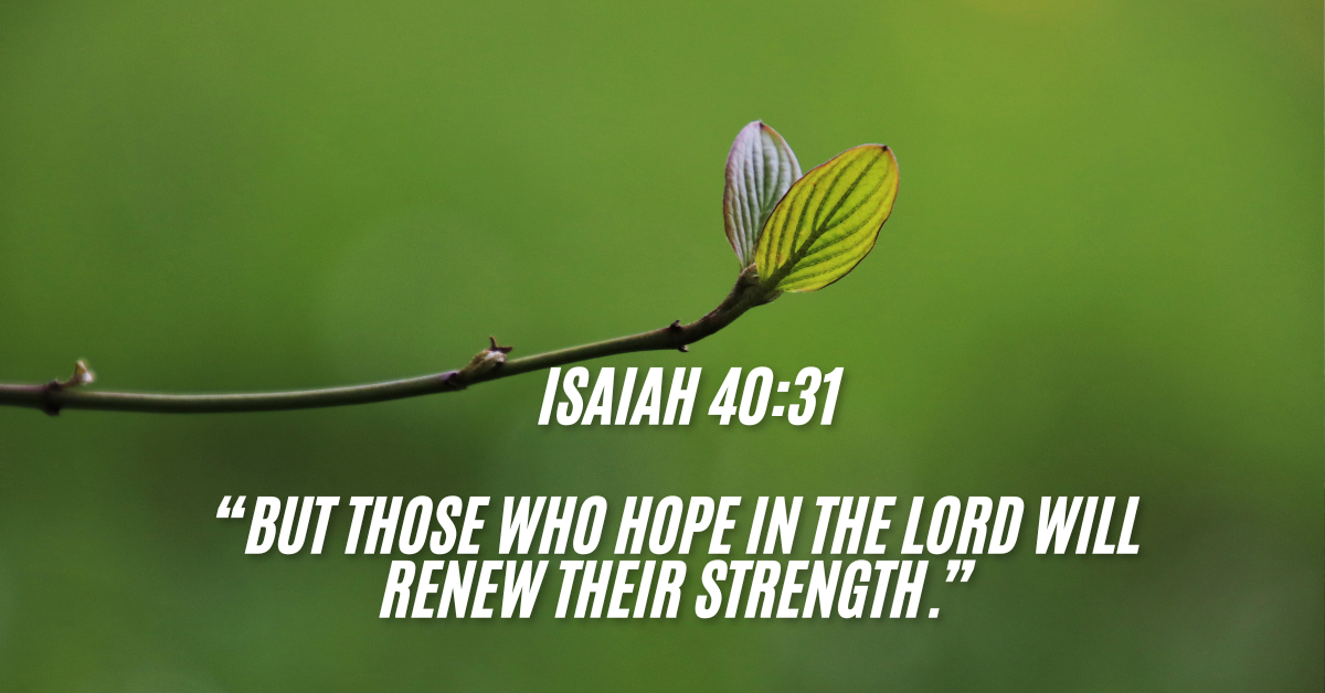 Bible Verses About God’s Promises: 32 Powerful Scriptures for Hope & Faith