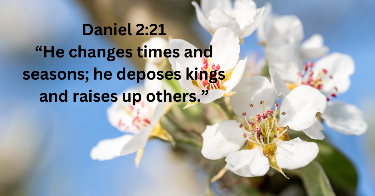 Bible verses about war that offer peace and hope