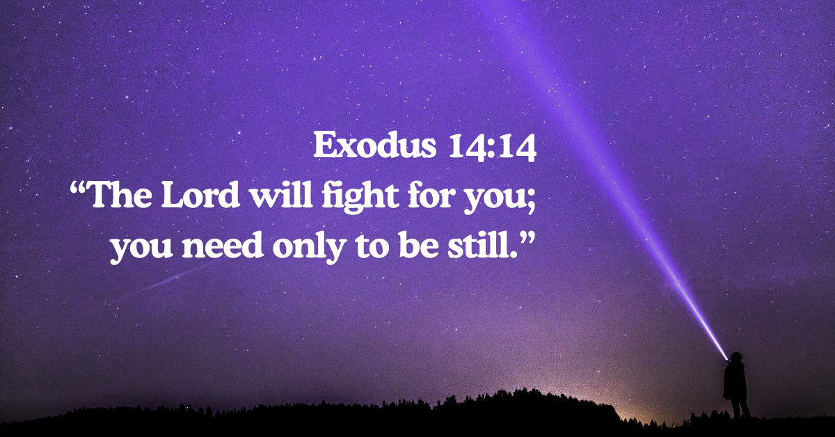what does the bible say about war bible verses