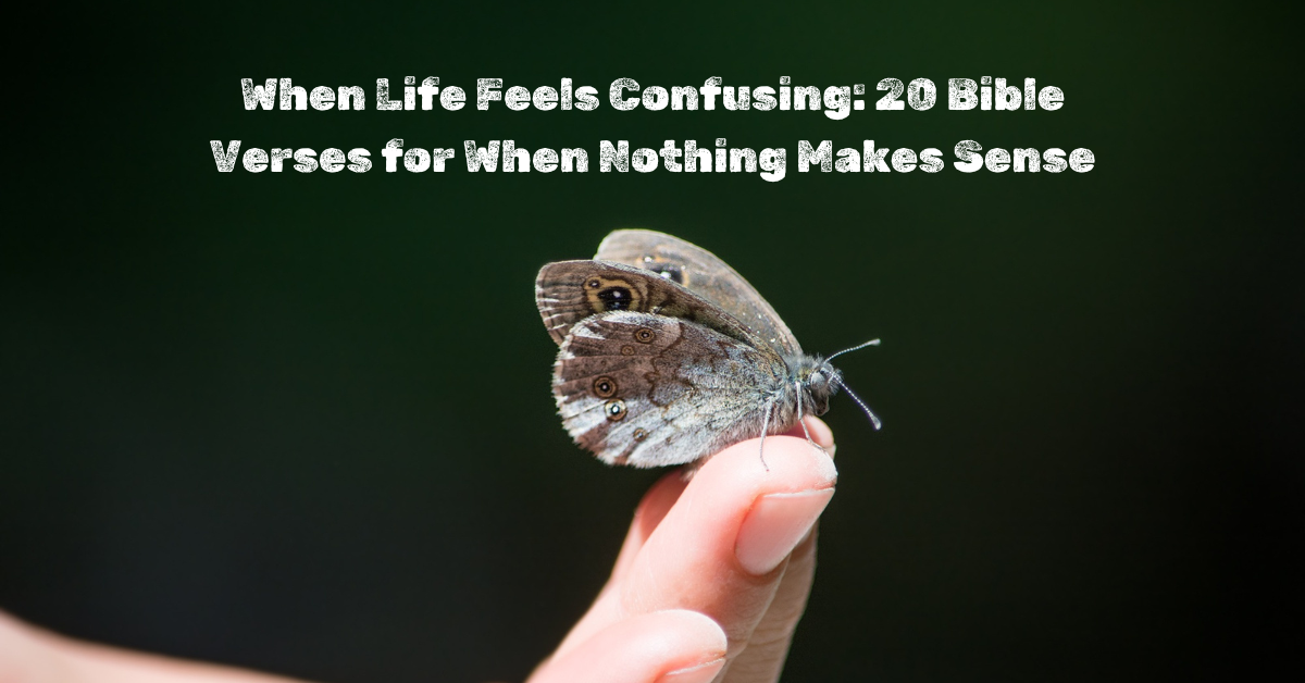 Feeling lost Bible verses for when nothing makes sense in life