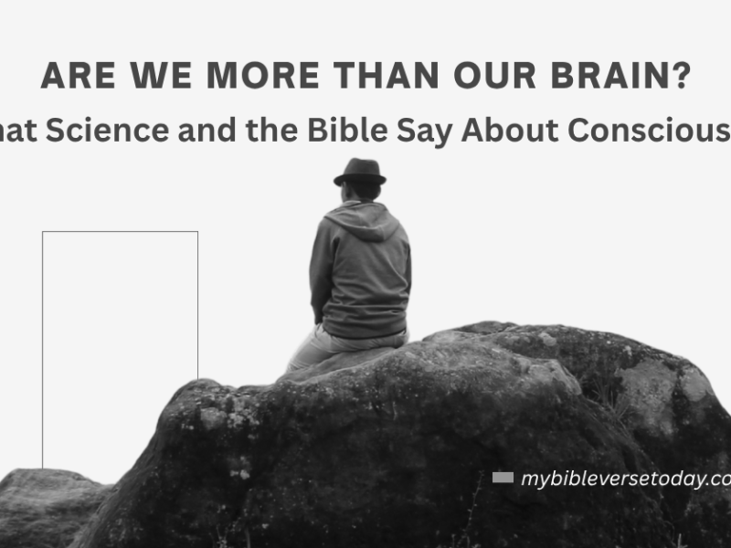 Are humans more than their brain