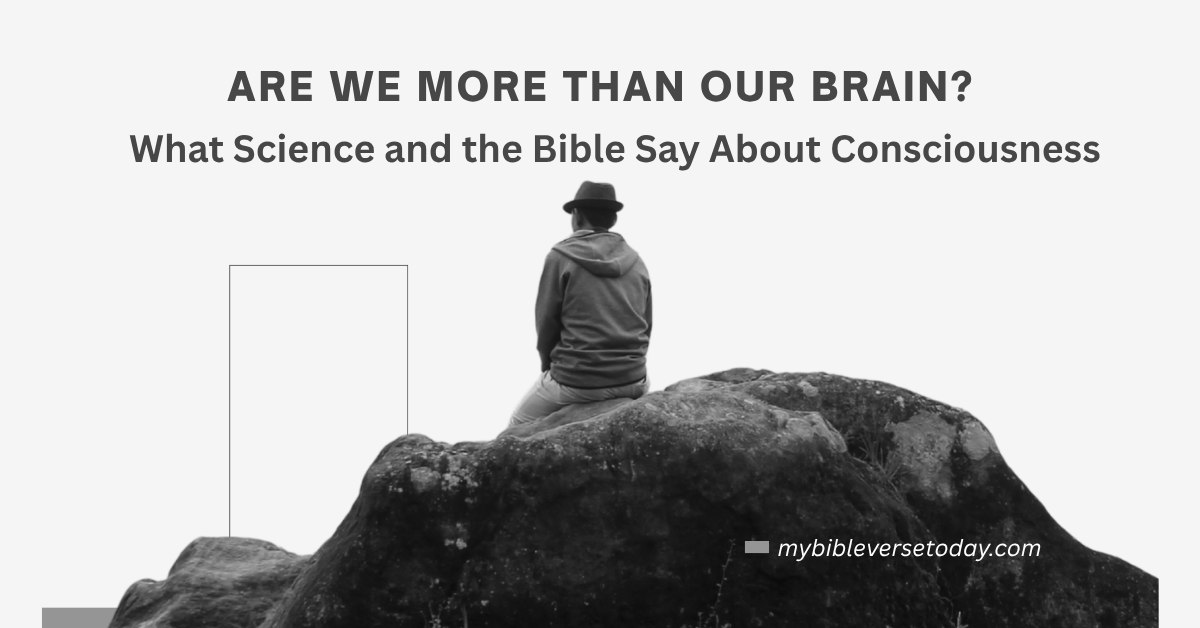 Are humans more than their brain